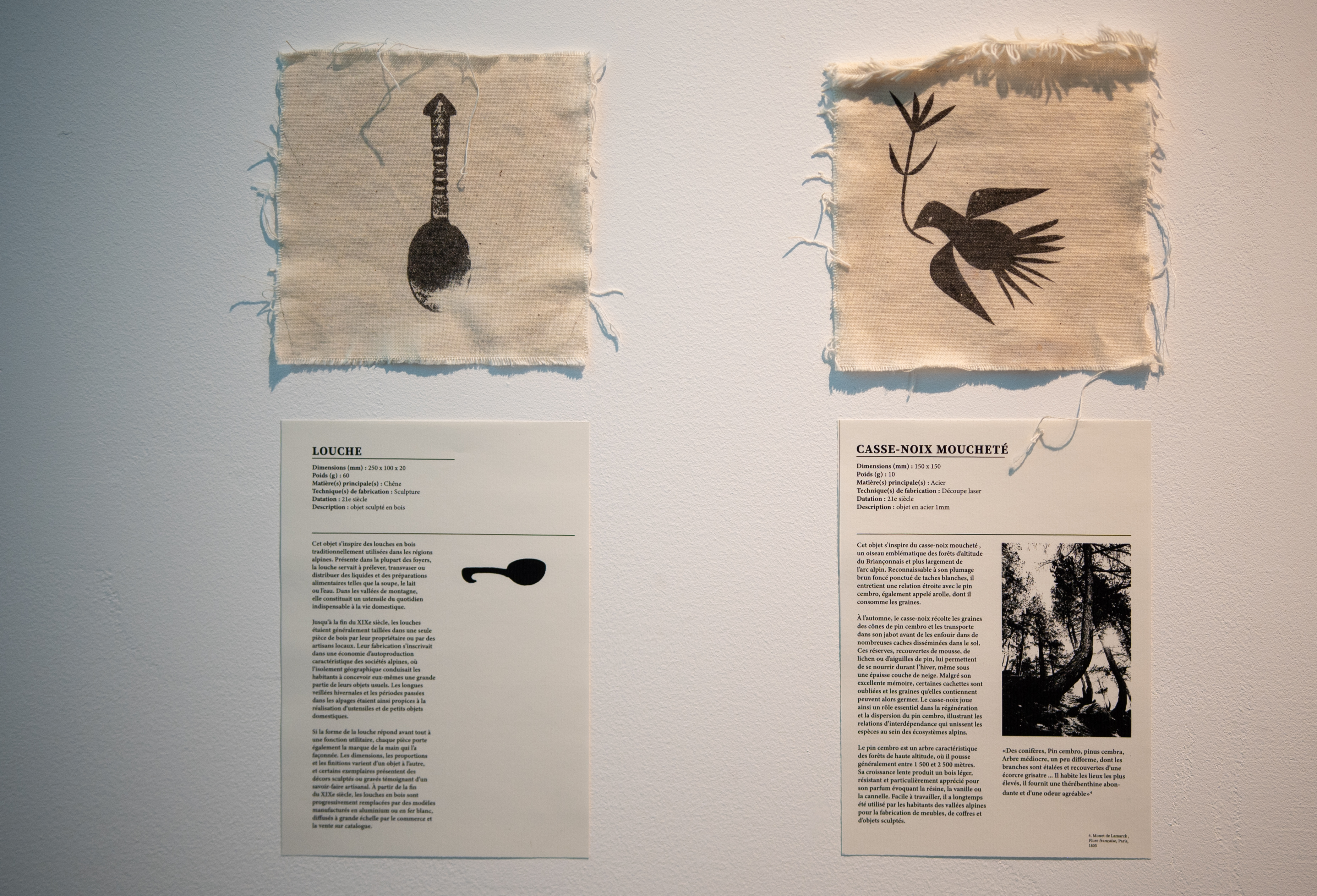 Projet Diplome